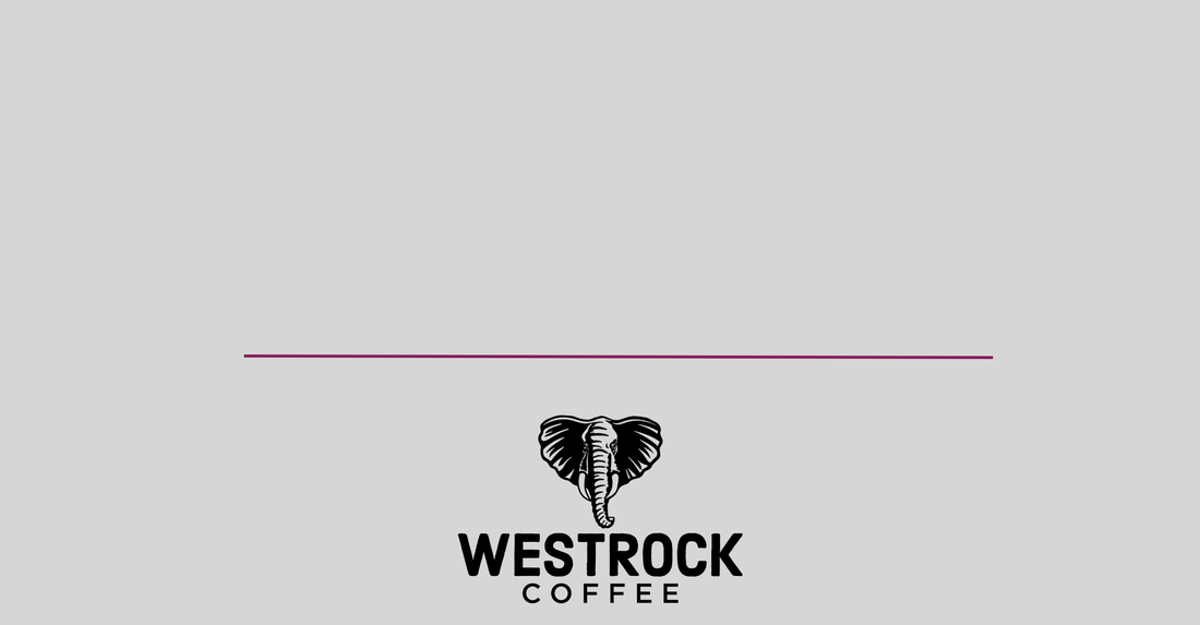 Westrock Coffee Company Announces Closing of $50 Million Delayed Draw Term Loan Facility