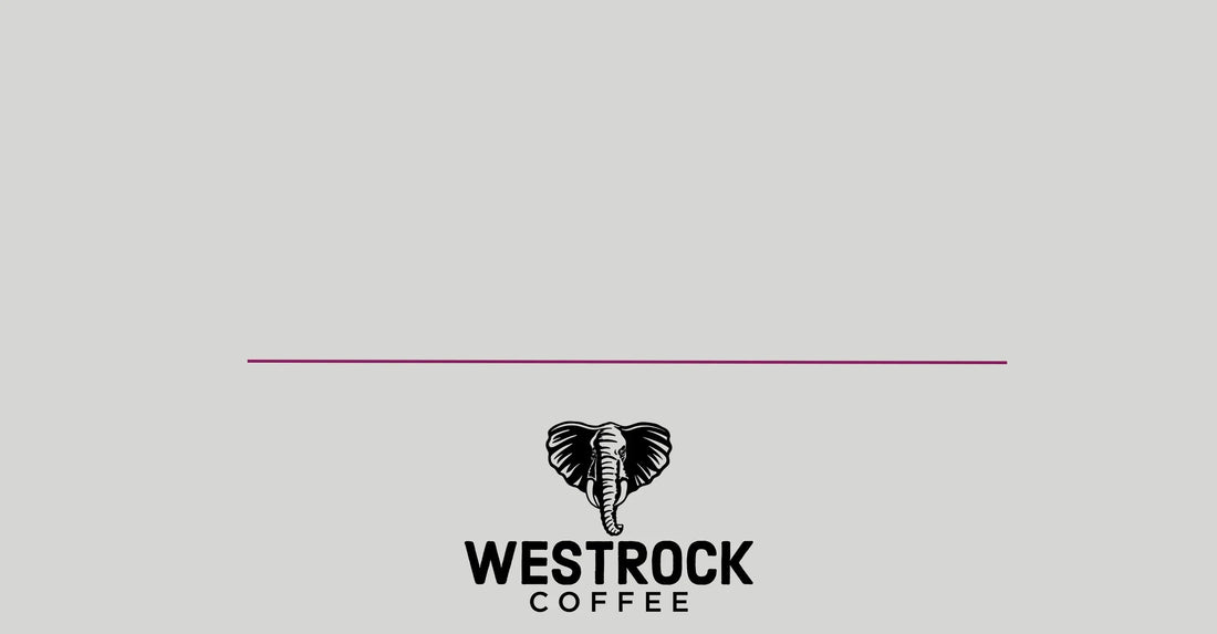 Westrock Coffee Opens Industry’s Largest Roast to Ready-to-Drink Manufacturing Facility in Conway, Arkansas Ahead of Schedule