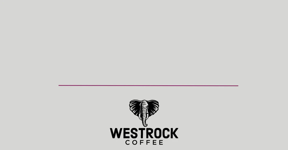 Westrock Coffee to Showcase Beverage Innovation, Capabilities, and Partnership at the  2024 National Restaurant Association Show