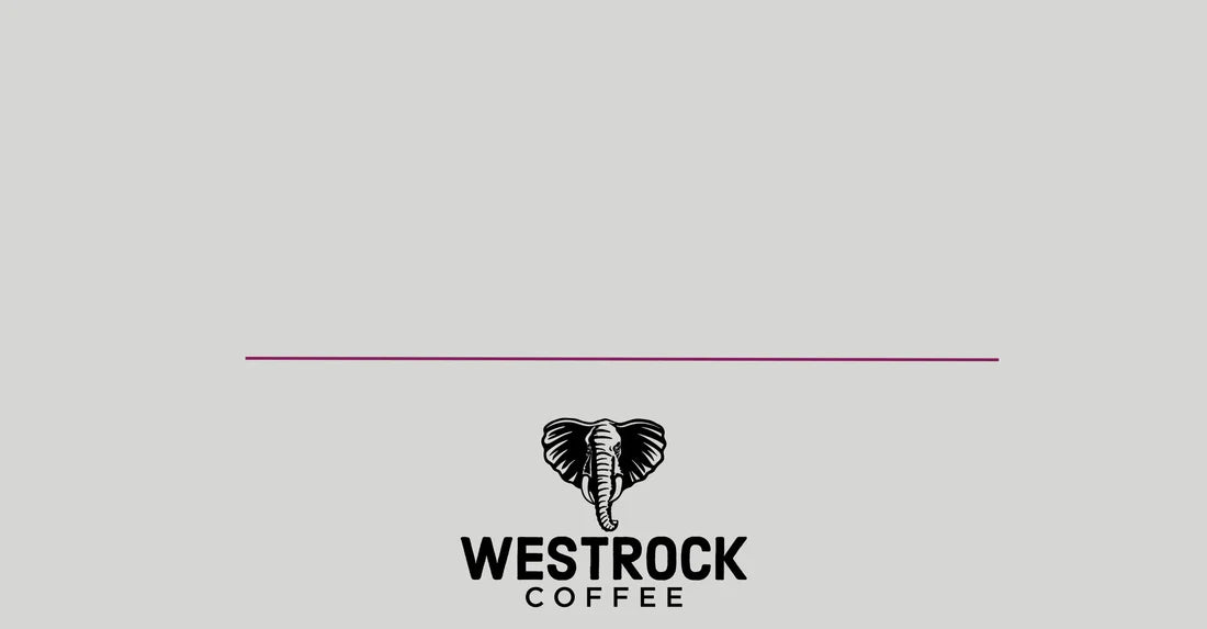 Westrock Coffee Showcases Advanced Beverage, Extract, and Flavor Solutions at IFT Expo 2024