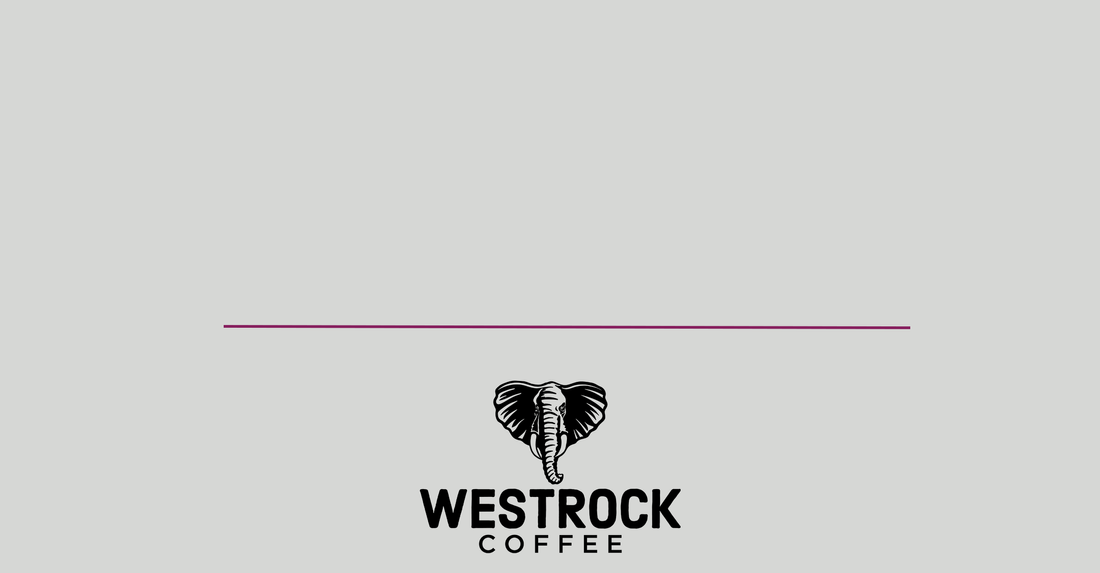 Westrock Coffee Company Reports Third Quarter 2023 Results