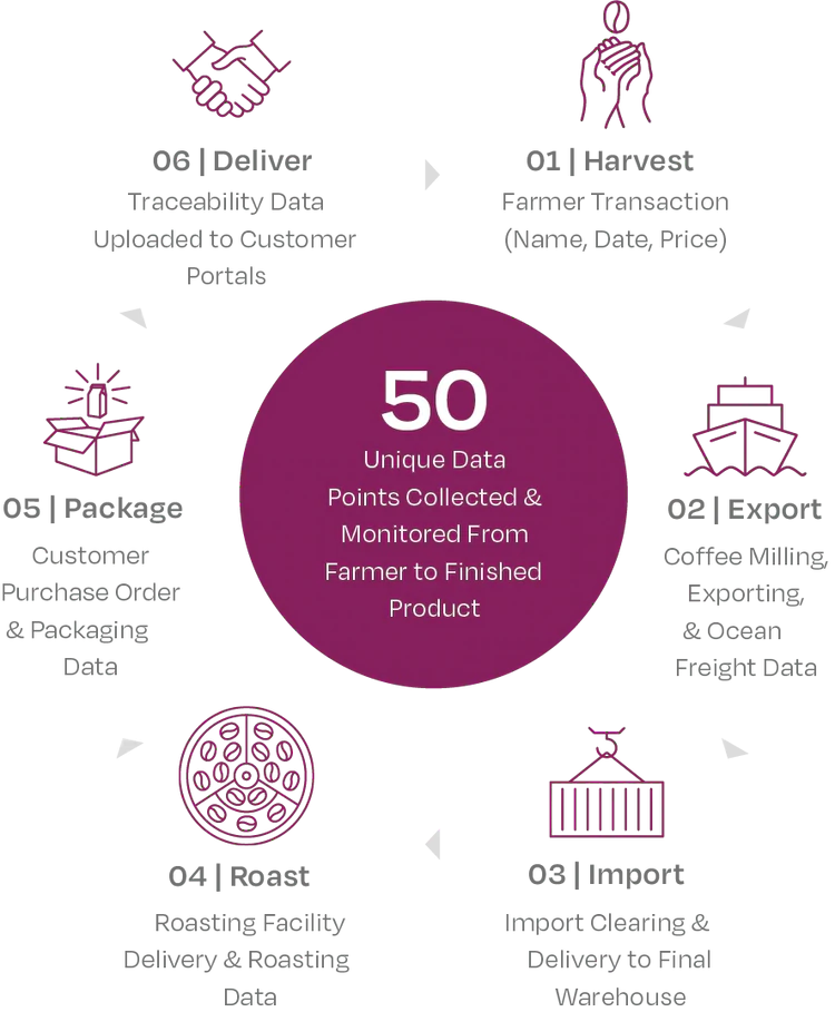 infographic with data processes