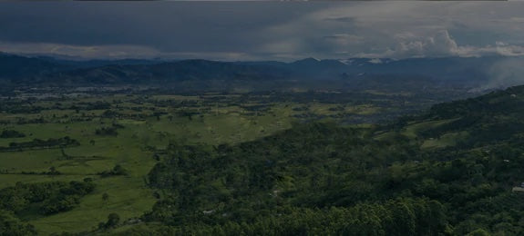 Aerial view of South American terrain, visualizing the importance of supply chain traceability.